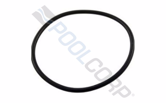 Pentair 59000600 #2-137 Bulkhead O-Ring For FNS Plus D.E. Filter; Outlet Pipe; Titan/Titan CM(O-24); 2 Inch Bulkhead