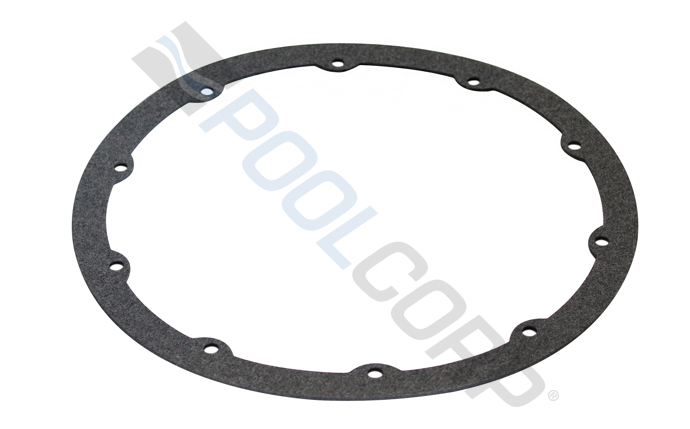 Pentair 630025 Gasket For QuickNiche Niche