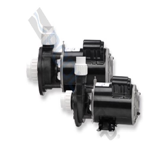 Gecko Alliance 02120000-1010 Flo-Master(R) FMHP Side Discharge 48 Frame Pump; 2 HP; 2-Speed; 230 V